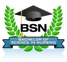 Bachelor in Nursing Science