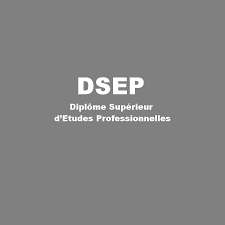 DSEP Diplôme Supérieur d’Etudes Professionnelles